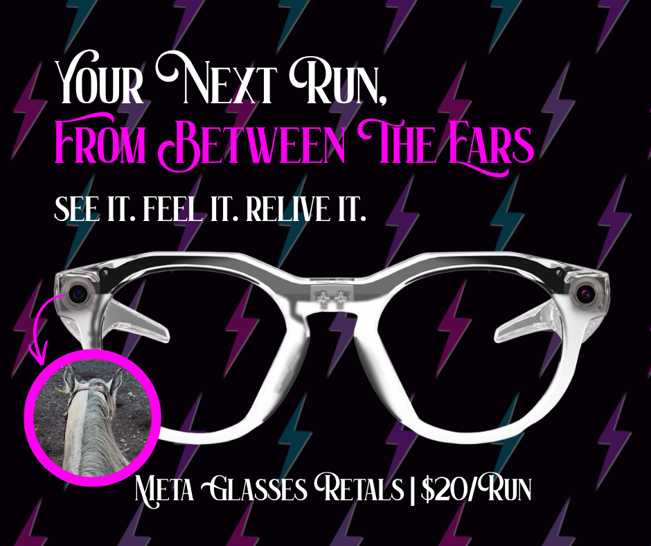 Meta Glasses Rental